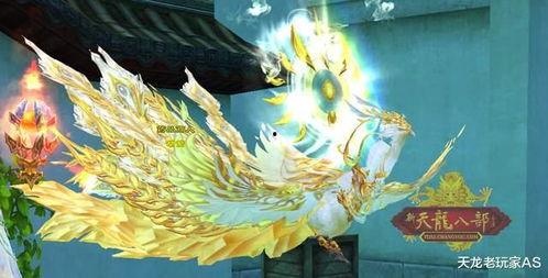 九尾最新爆料视频大全,揭秘幕后真相与精彩瞬间  第3张